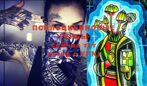 PSILOCYBIN Алексеевка