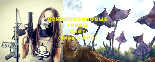PSILOCYBIN Алексеевка