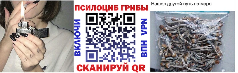 продажа наркотиков  Майский  Галлюциногенные грибы Psilocybe 